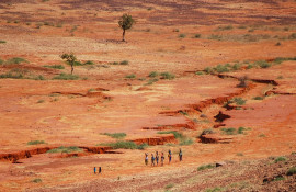 Paysage du Sahel©Center For International Forestry Research/Daniel Tiveau