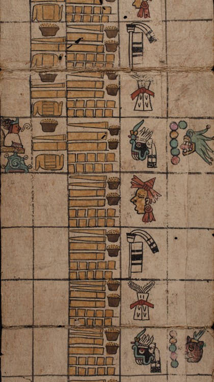 Codex Humboldt