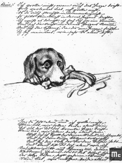 Extrait du journal intime de Maria Sklodowska. L’esquisse représente Lancet, le chien pointer, très aimé des jeunes Sklodowski (texte en polonais) (Source : Musée Curie ; coll. ACJC).
