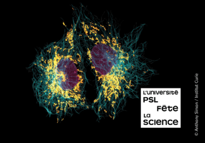 biologie institut curie