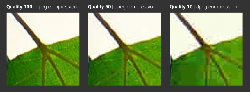 Jpg quality comparison