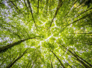 earth-day