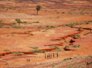 Paysage du Sahel©Center For International Forestry Research/Daniel Tiveau