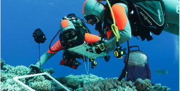 Tara pacific : expédition au coeur du corail