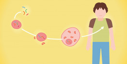 Evolution : émergence de la vie complexe